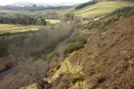 Photo from the walk - Yarrow Valley Five Hills Circular