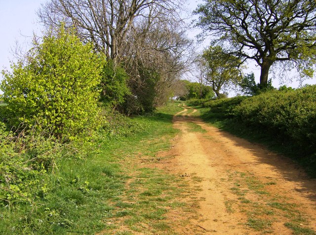 Ditchedge Lane, near Epwell
