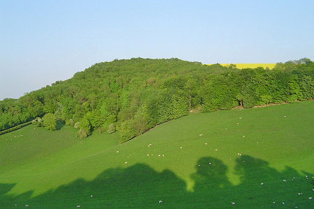 The view to Watership Down from the rising path