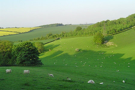 Another spectacular view of Watership Down