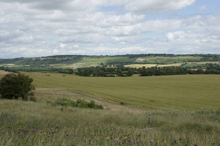 Looking across to the White Lion at Whipsnade