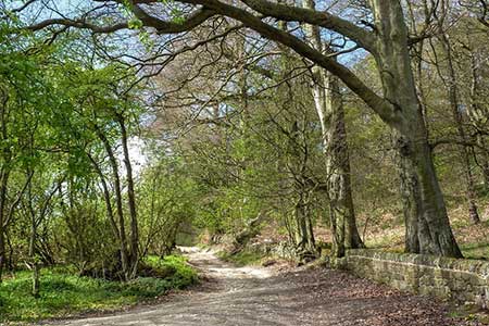 Clough Lane, north of Winster
