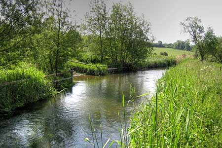 River Thame near Nether Winchendon