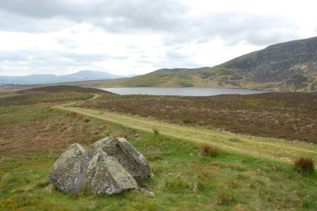 Photo from the walk - Arenig Fawr