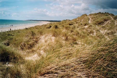 View along West Beach towards Middleton