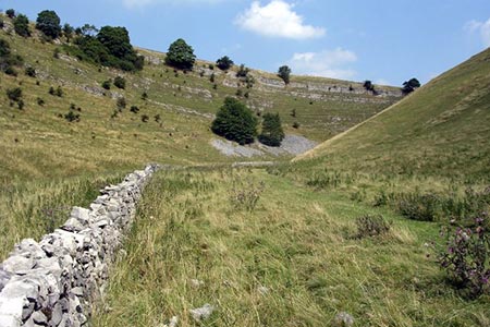 Looking north along Cressbrook Dale