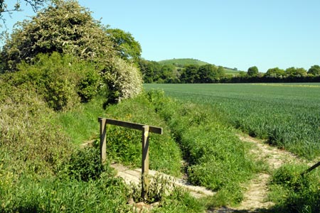 Path from Exford to Old Winchester Hill