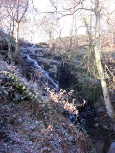 Photo from the walk - Huddersfield's green fringe