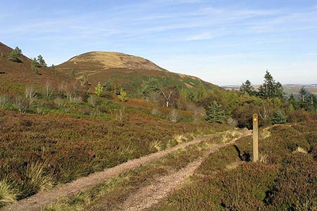 Photo from the walk - The Eildon Hills