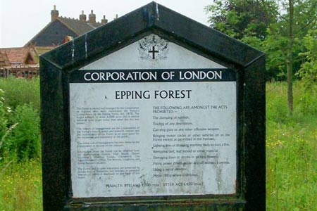 Start of the walk and into Epping Forest