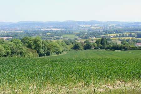 Looking down from Marcle Ridge across to the Malvern Hills