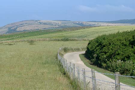 Downs south of Carisbrooke