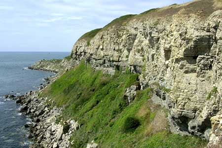 Cliff at St Aldhelm's Head, Isle of Purbeck
