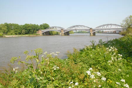 Barnes Bridge from the Thames Path