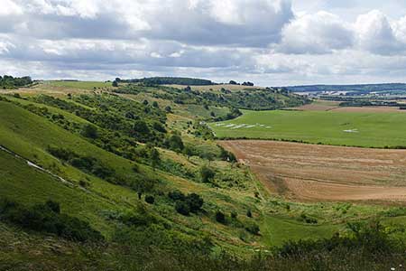View south along Dunstable Downs