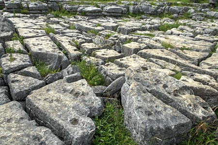 Limestone pavement above Malham Cove