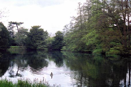 Upper Drakeloe Pond
