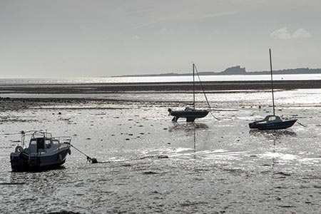 View south from Holy Island to Bamburgh Castle