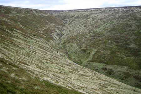 Oyster Clough, Woodlands Valley