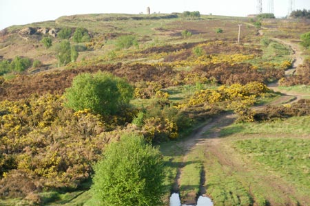 On the Eston Moor ridge, approaching the beacon