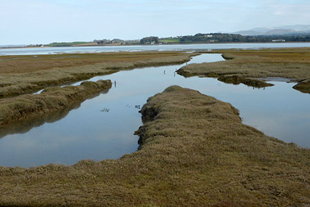 Photo from the walk - Foryd Bay