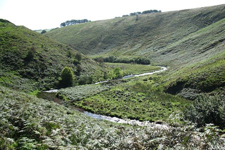 River Barle south of Simonsbath, Exmoor
