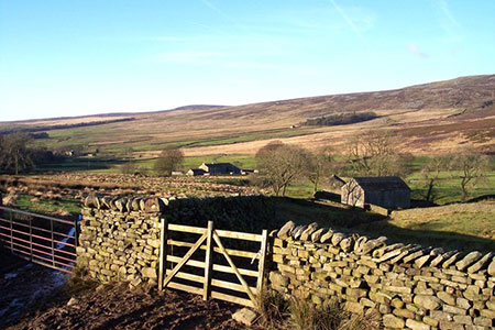 Spreight Clough on the Wyre Way, Lancashire