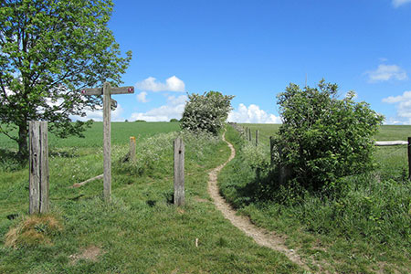 Bridleway on Kithurst Hill, South Downs