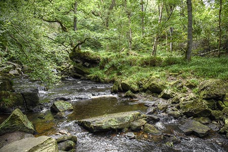 West Beck flows north of Goathland in a wooded valley