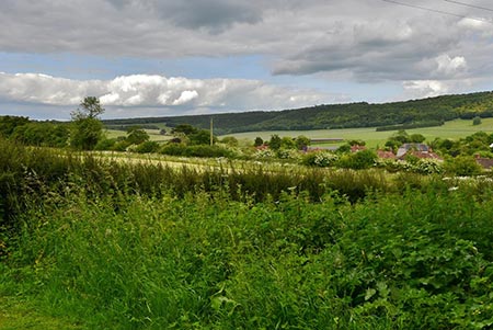 View from St Mary's church, Stoughton to Lamdown Hill