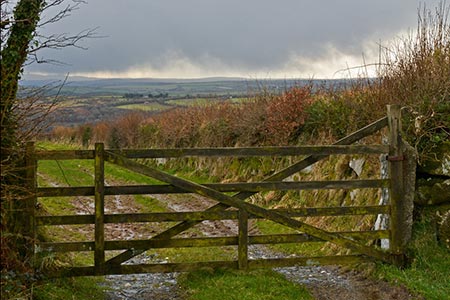 Photo from the walk - Berry Down from St Neot