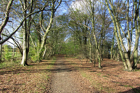 Path at Hornbeam Lane, East of Warrenwood Park, Essendon
