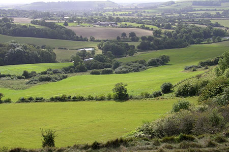 View south across Balmers Coombe Bottom from Rawlsbury hillfort