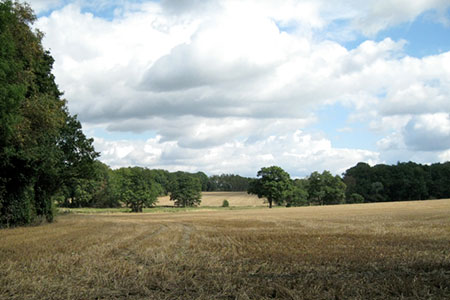 Low-lying land west of Berkswell Hall lake , West Midlands