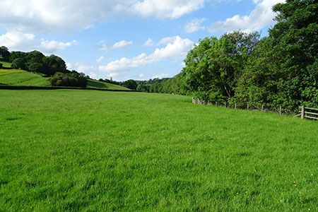 Farmland beside Pontyperchill, Powys