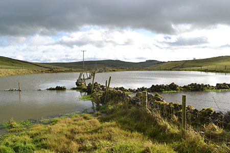 Ponds south of Pilsbury Lodge