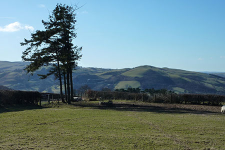 View south from Bryn Farm, Newtown